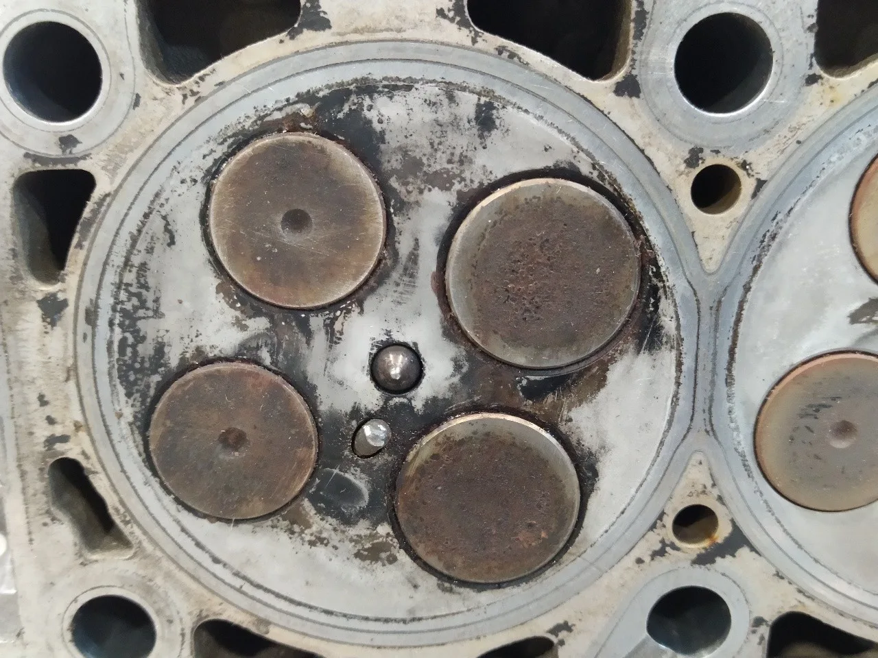 Culata para Audi A4 Berlina (8E)