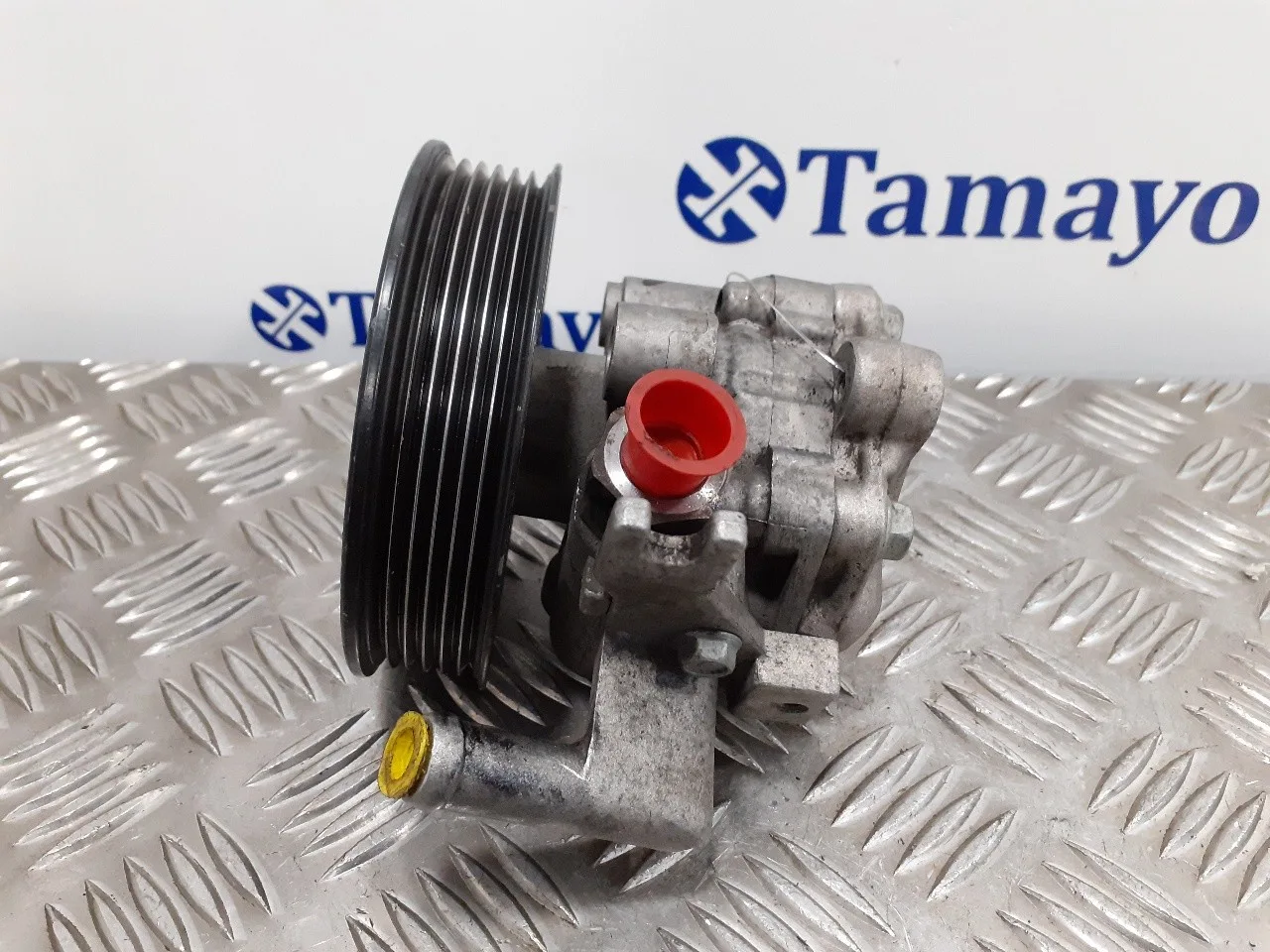 Bomba Direccion para Hyundai Tucson (Jm)