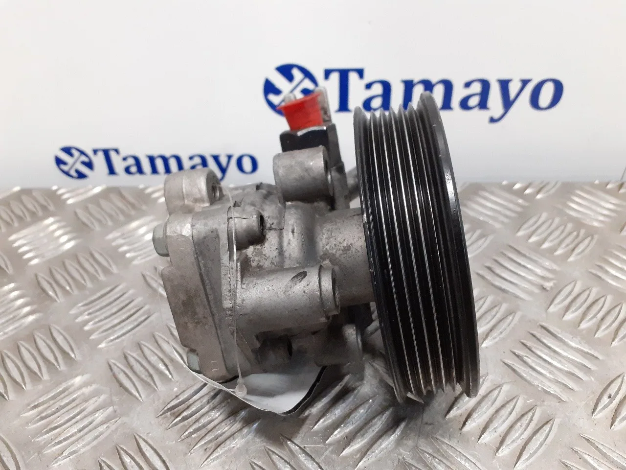 Bomba Direccion para Hyundai Tucson (Jm)
