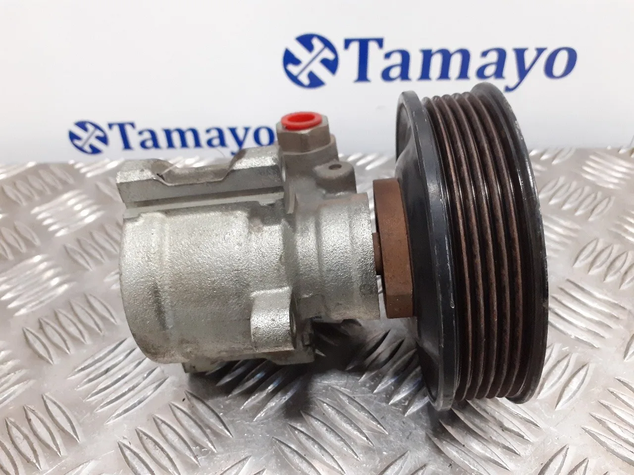 Bomba Direccion para Seat Ibiza (6K1)