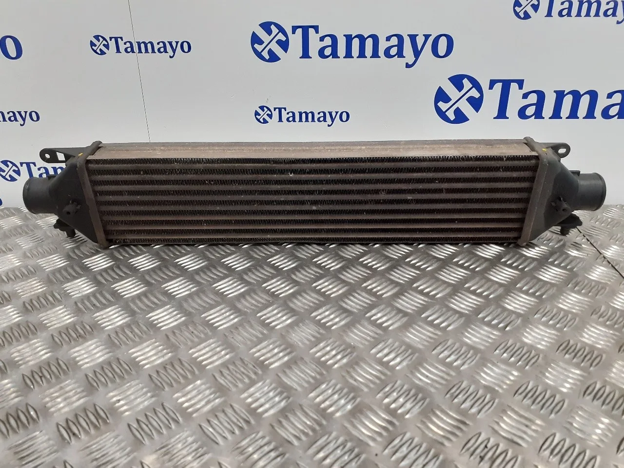 Intercooler para Fiat Bravo (198)