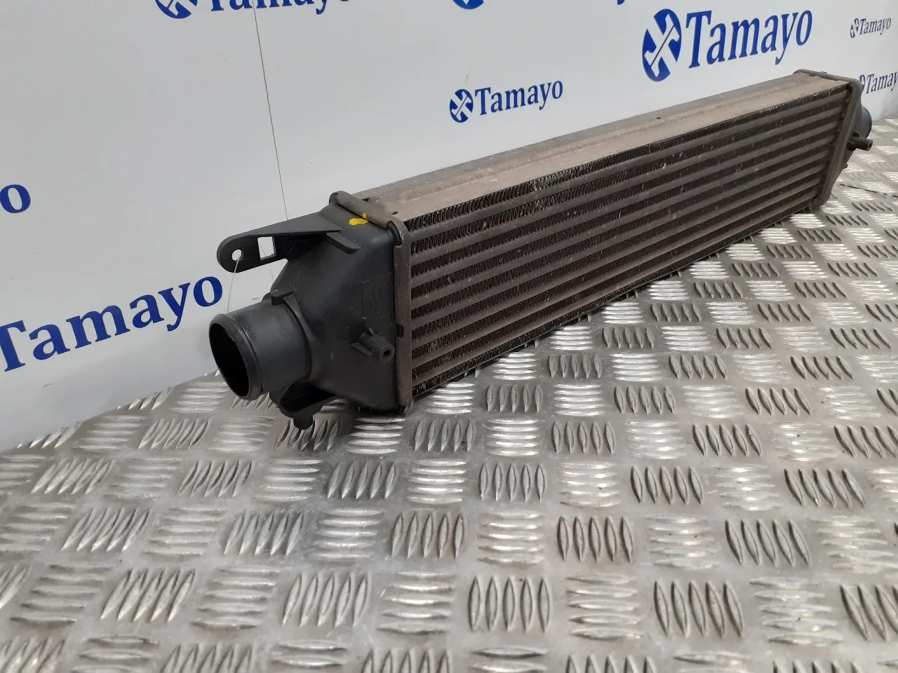 Intercooler para Fiat Bravo (198)