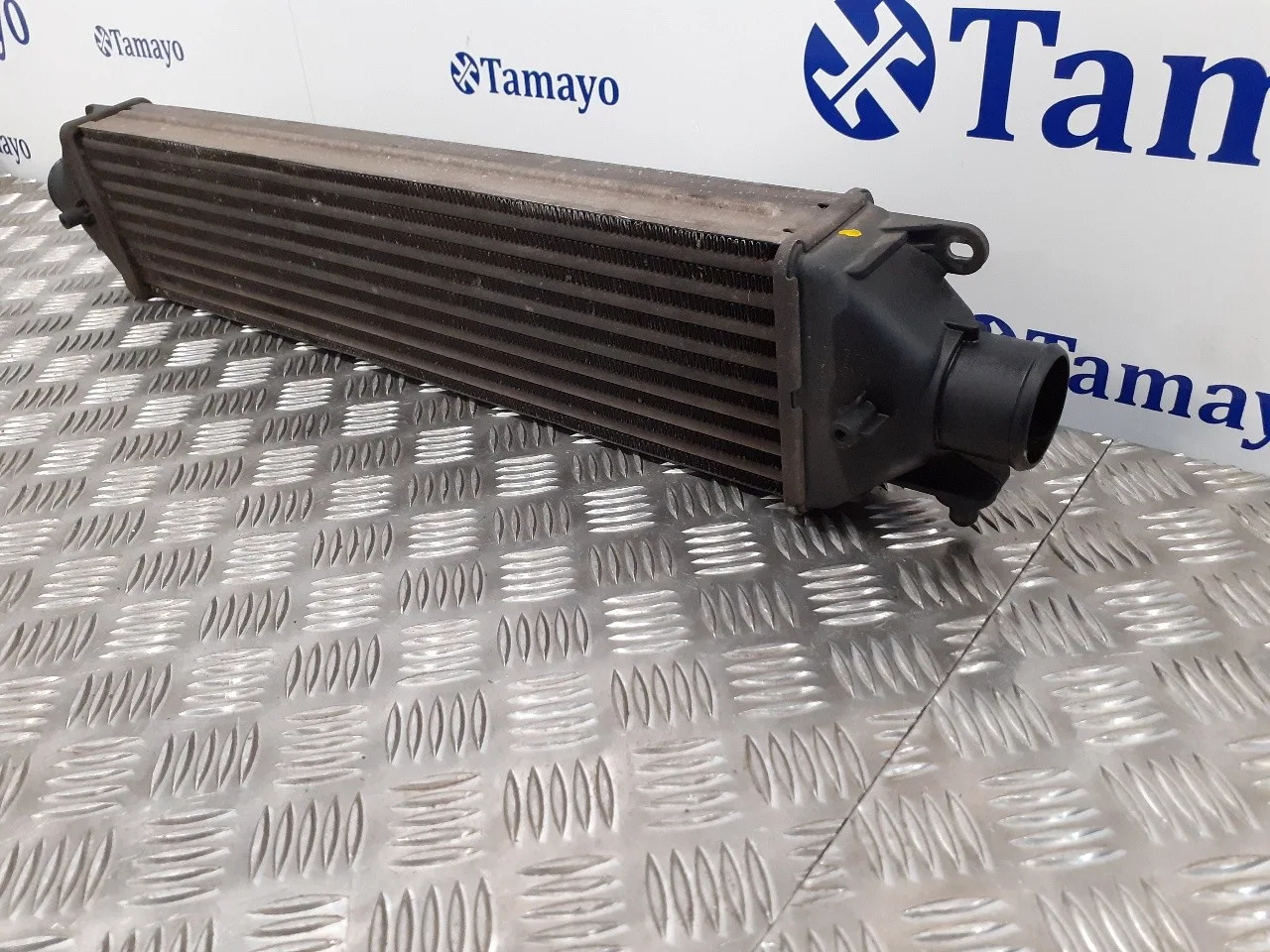 Intercooler para Fiat Bravo (198)