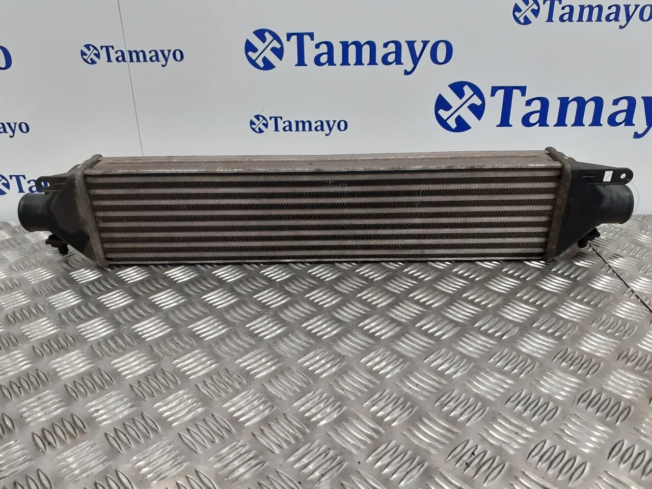 Intercooler para Fiat Bravo (198)