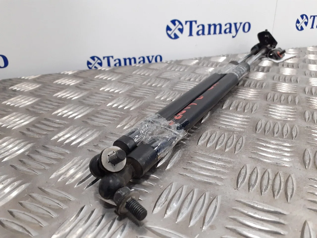 Amortiguadores Capo para Subaru Forester S12