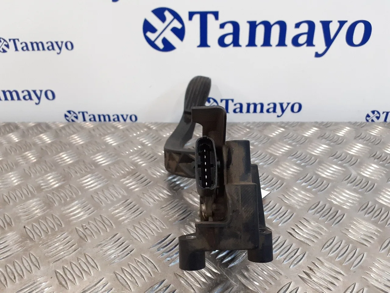 Potenciometro Pedal para Fiat Doblo (119)