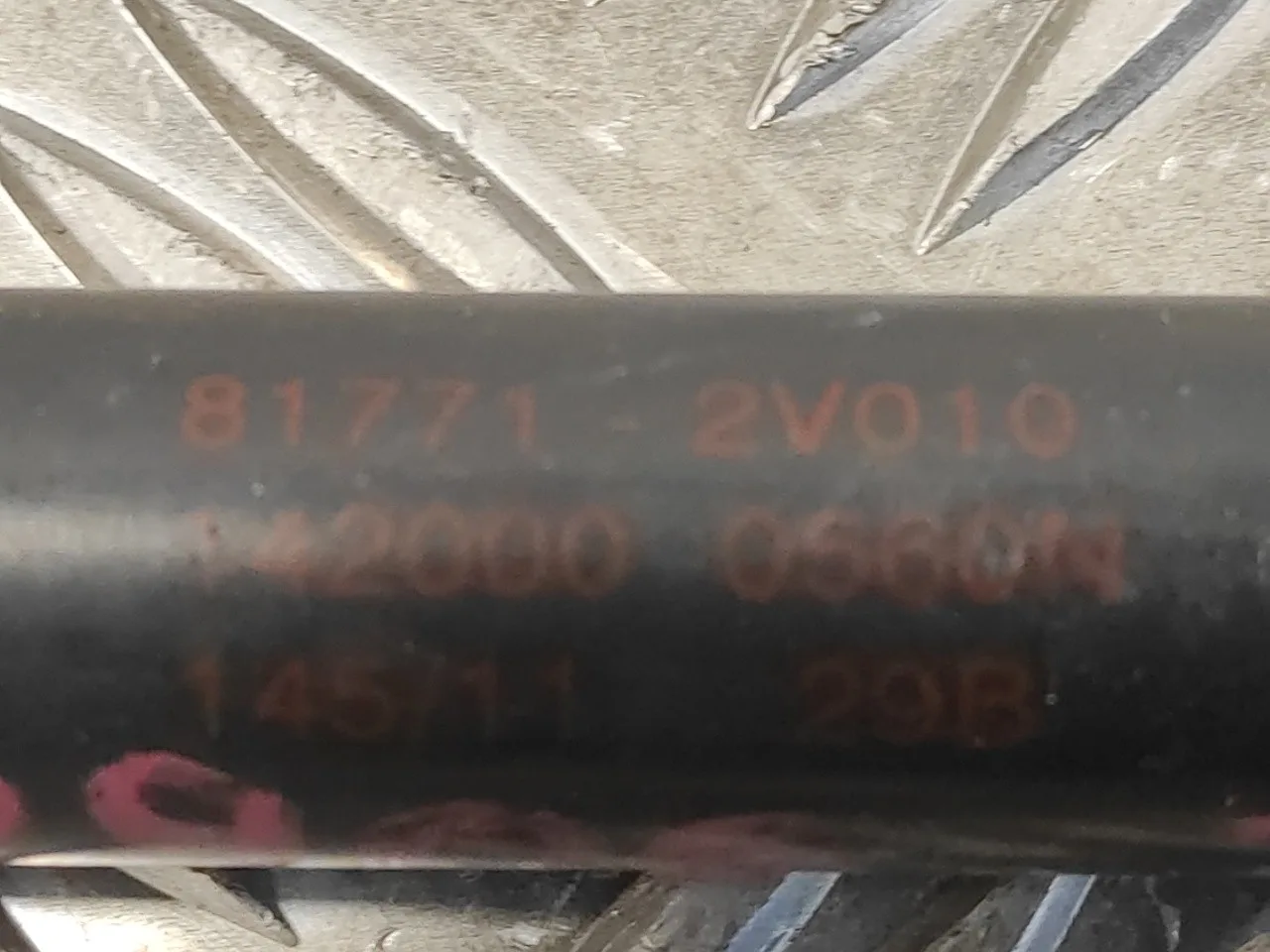 Amortiguadores Maletero / Porton para Hyundai Veloster