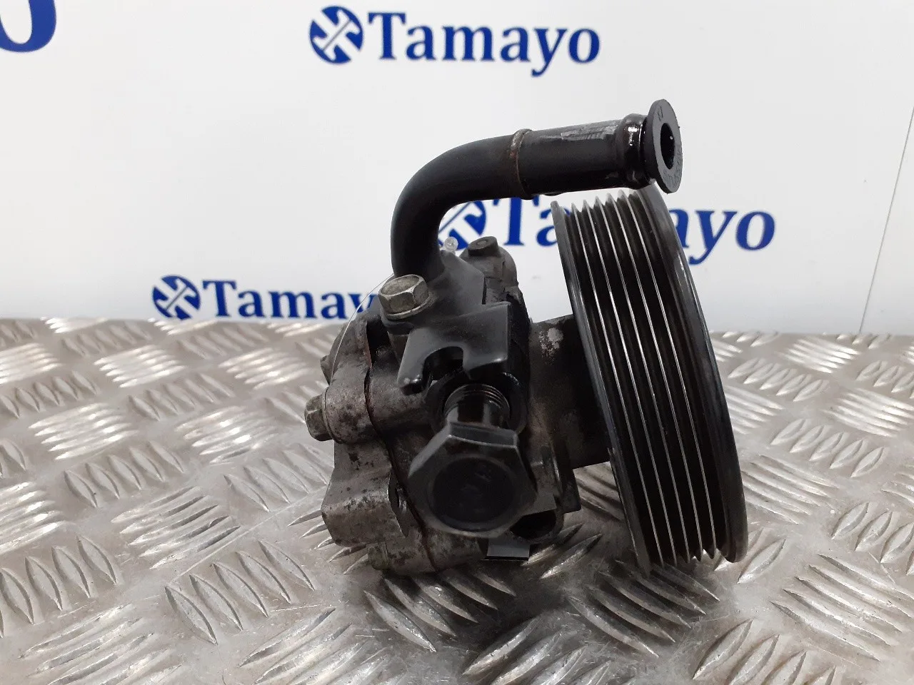 Bomba Direccion para Hyundai Santa Fe (Bm)