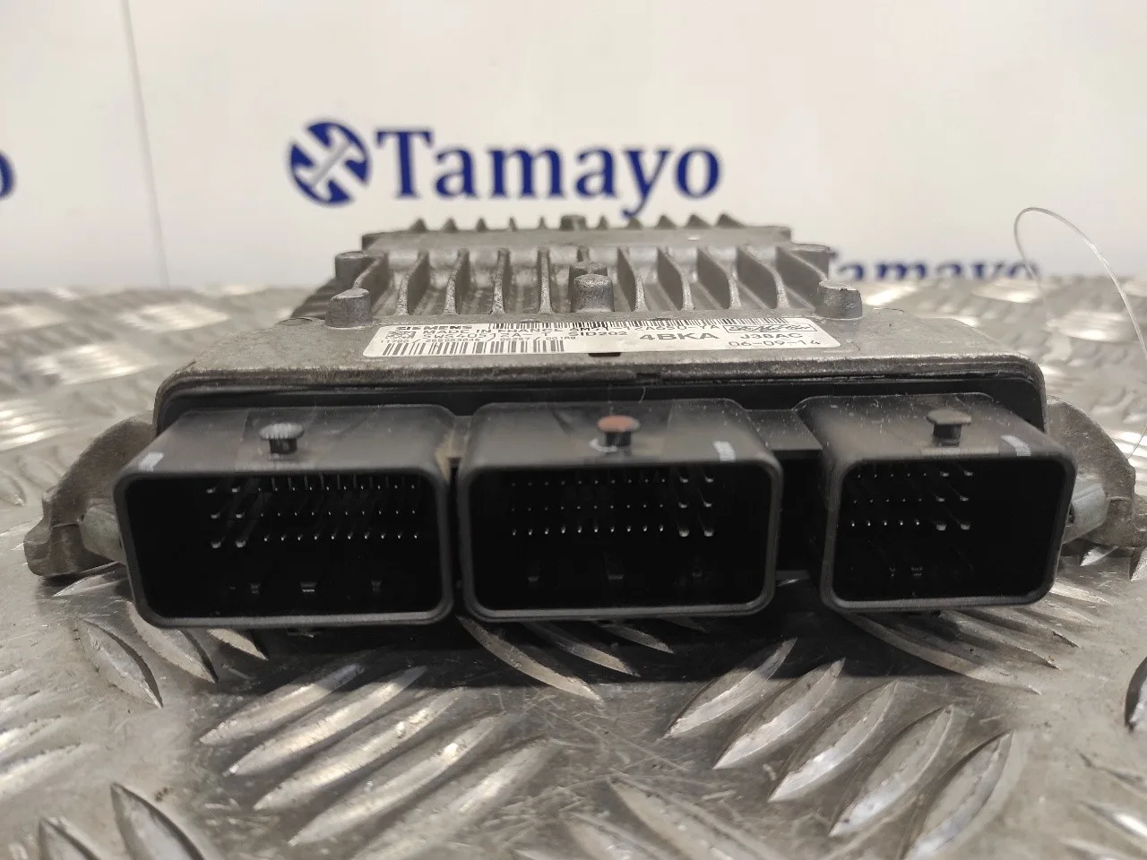 Centralita Motor Uce para Ford Focus Ranchera Familiar (Dnw)