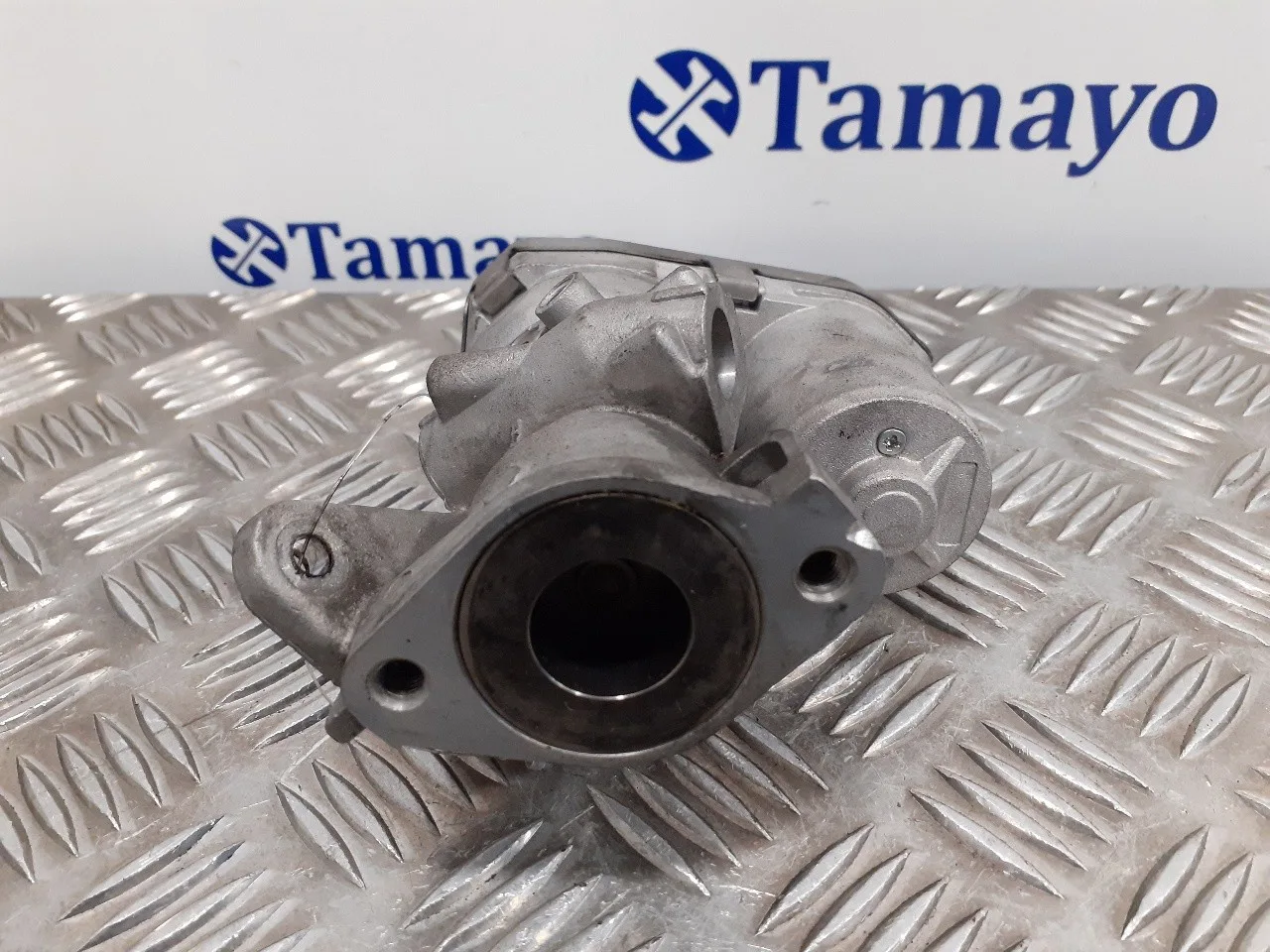 Valvula Egr para Ford Focus C-Max (Cap)