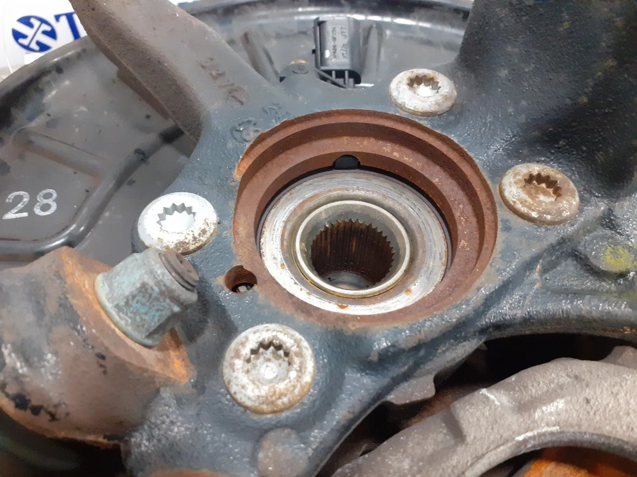 Mangueta Delantera Izquierda para Volkswagen Touran (1T2)