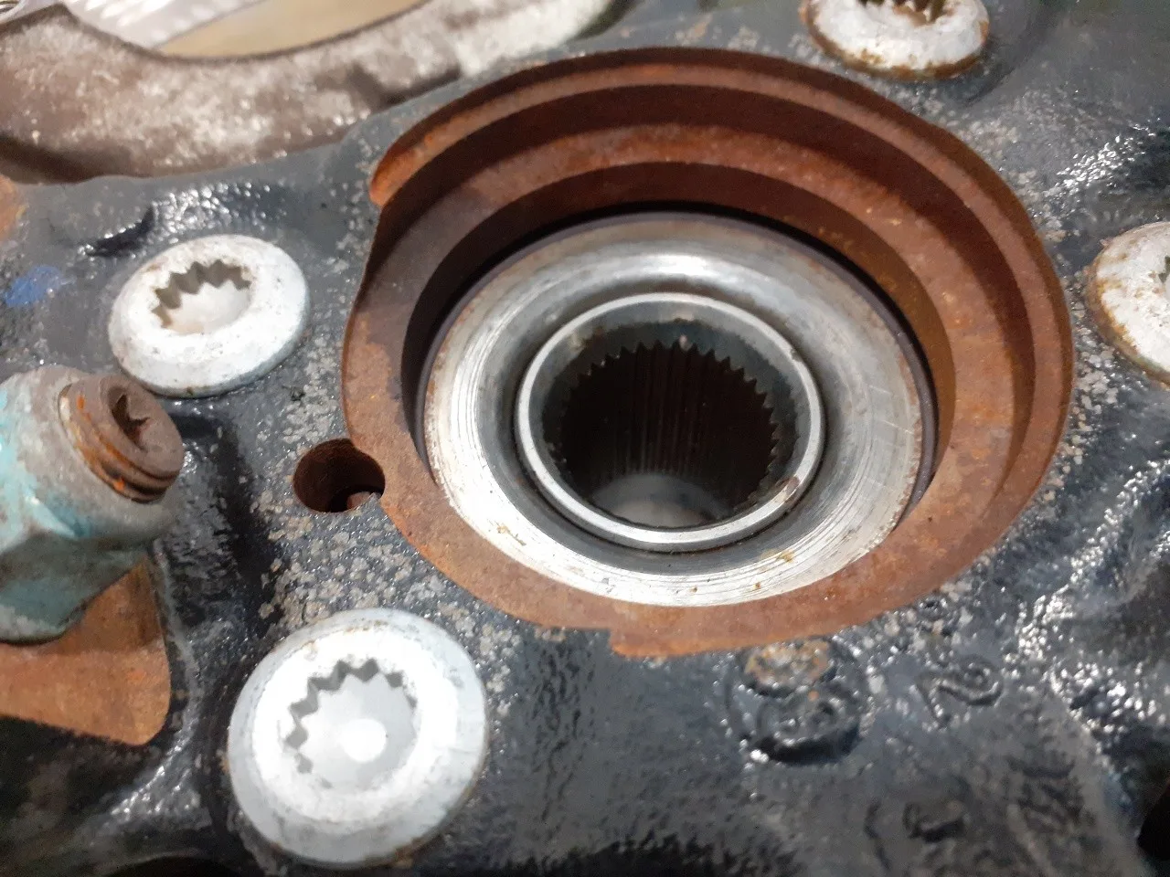 Mangueta Delantera Derecha para Volkswagen Touran (1T2)