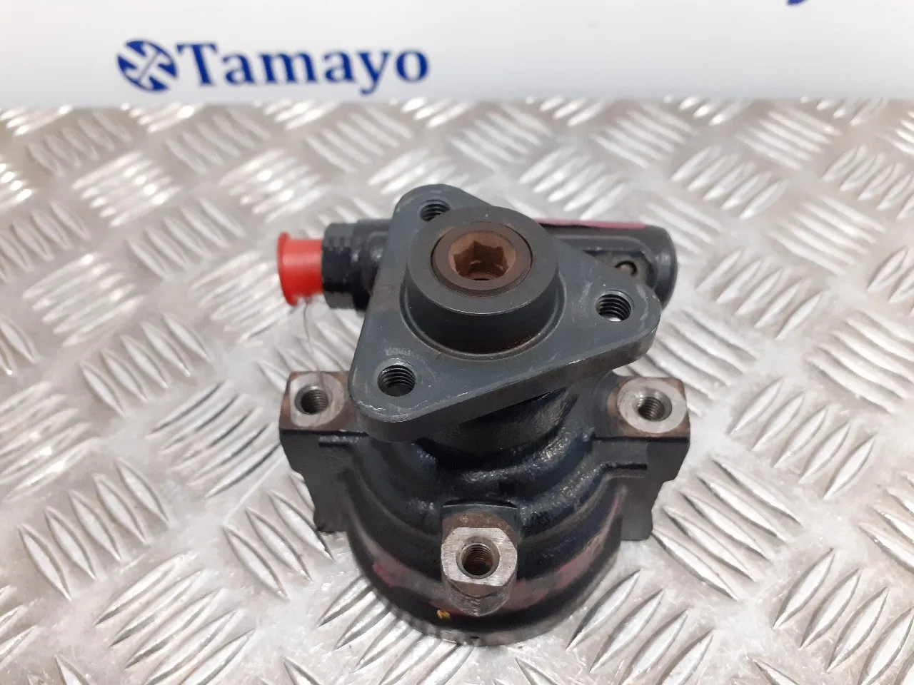Bomba Direccion para Fiat Doblo (119)