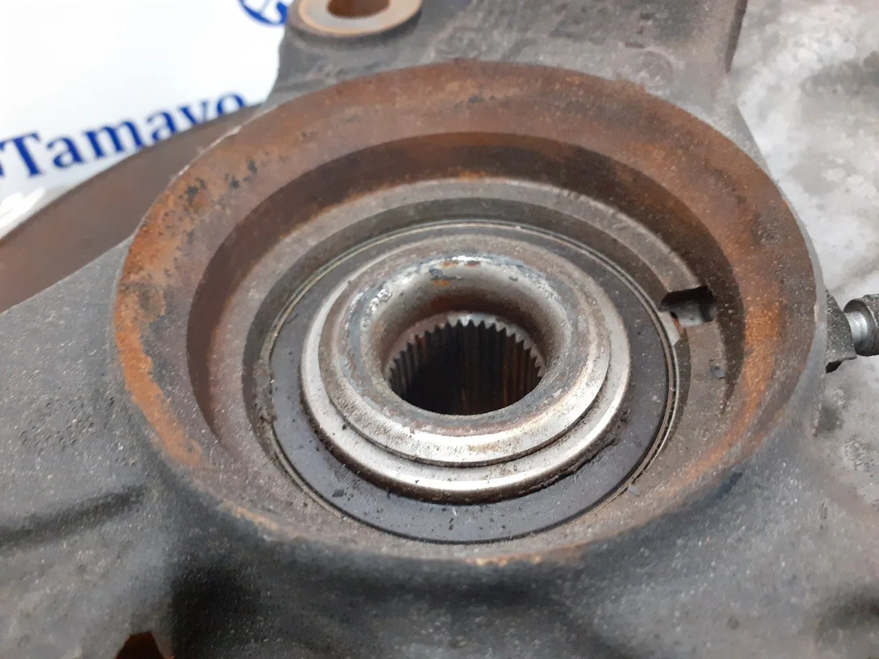 Mangueta Delantera Derecha para Volkswagen T6 Transporter