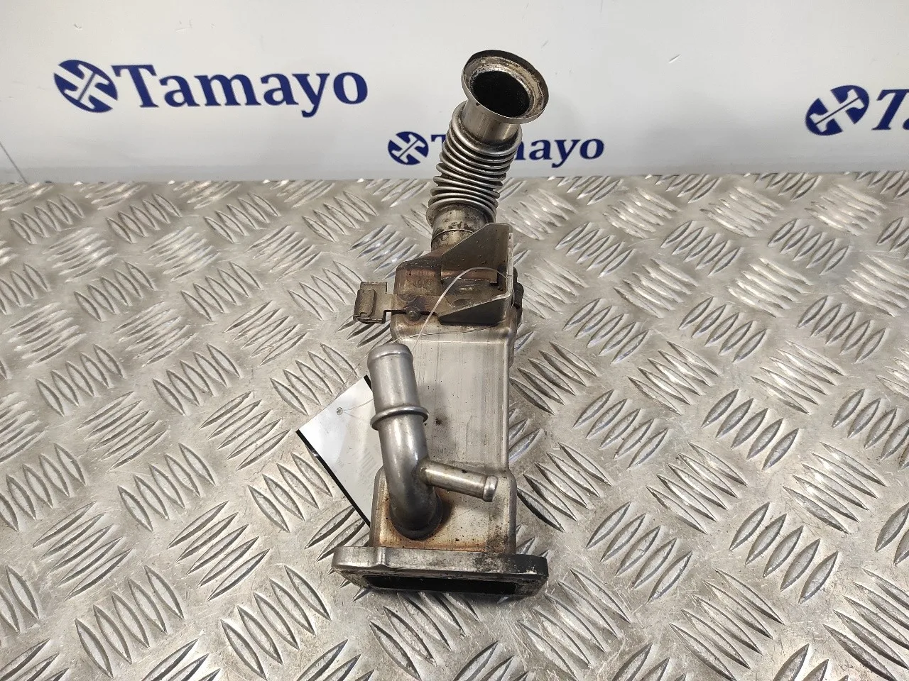 Enfriador Egr para Renault Scenic Ii