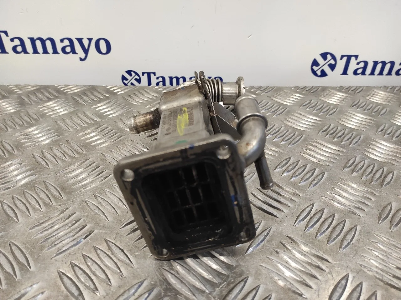 Enfriador Egr para Renault Scenic Ii
