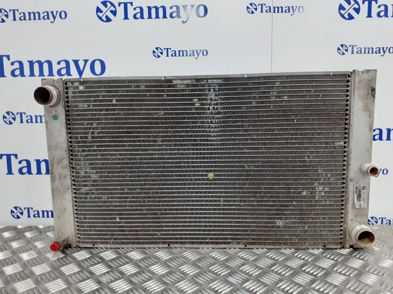 Radiador Agua para Bmw Serie 5 Berlina (E60)