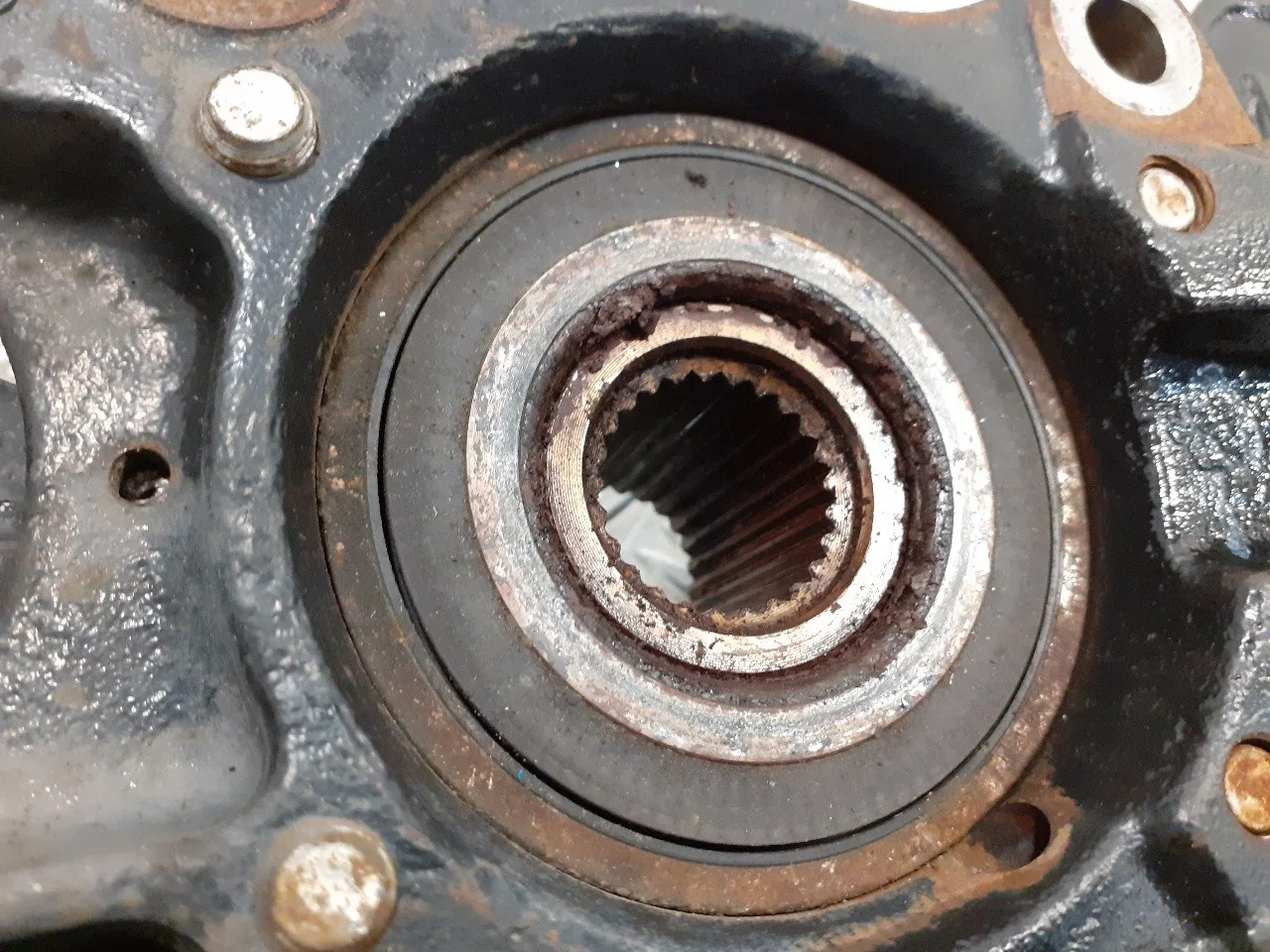 Mangueta Delantera Derecha para Alfa Romeo Gt (125)