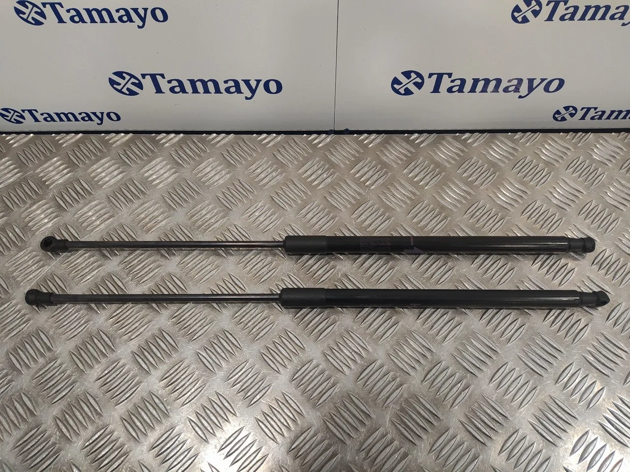 Amortiguadores Maletero / Porton para Toyota Aygo