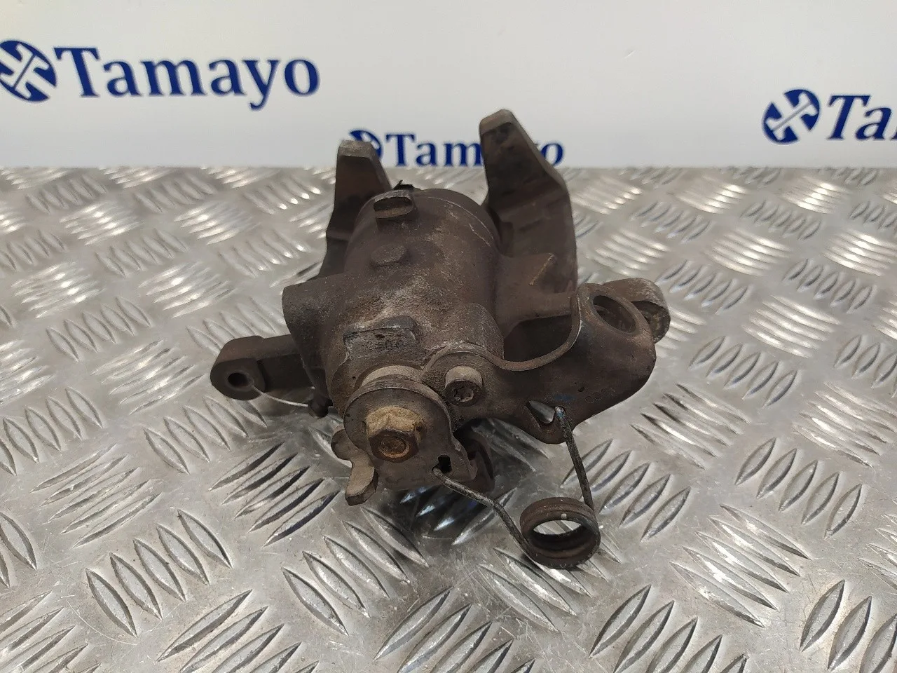 Pinza Freno Trasera Izquierda para Peugeot Expert Kasten