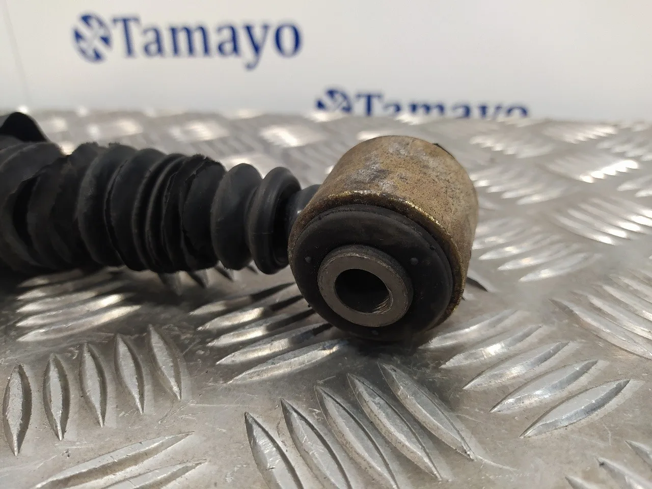 Amortiguador Trasero Derecho para Peugeot Expert Kasten