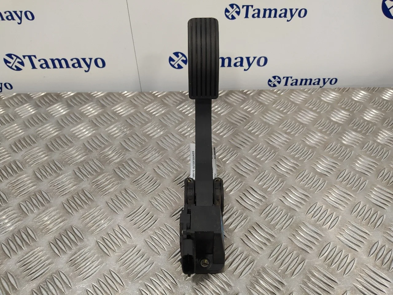Potenciometro Pedal para Kia Carnival Ii