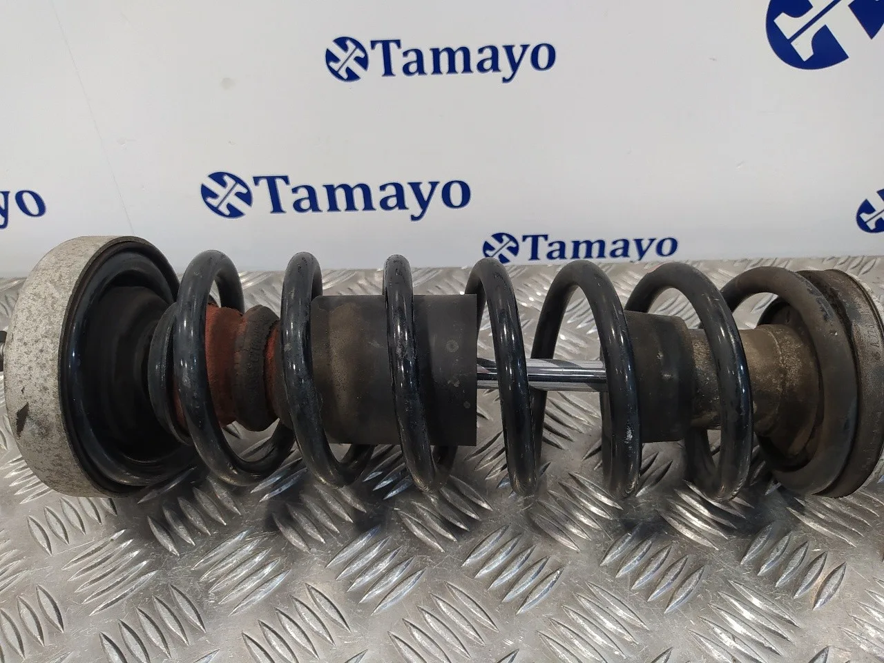 Amortiguador Trasero Derecho para Bmw Serie 5 Berlina (E60)