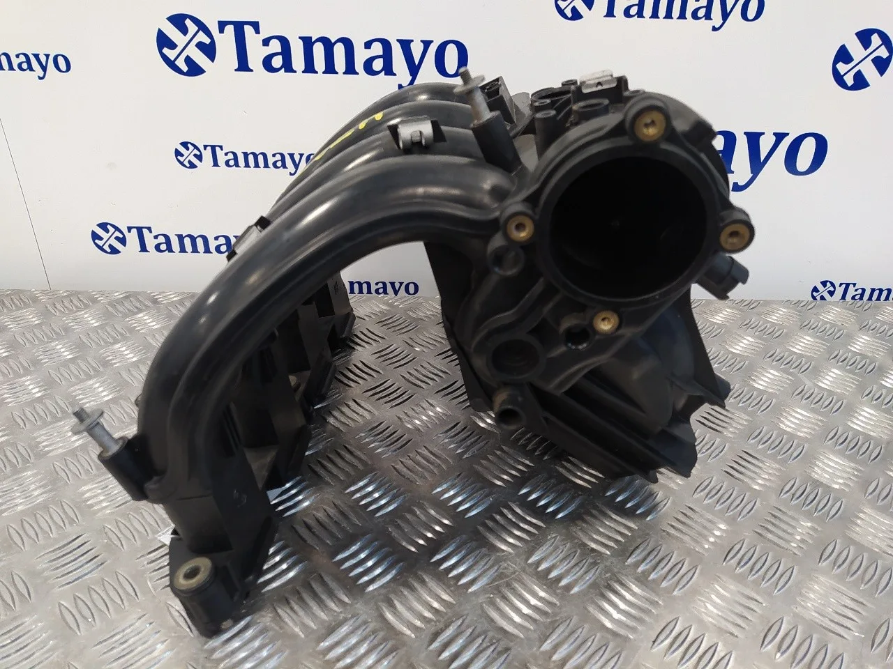 Colector Admision para Bmw Serie 3 Compact (E46)