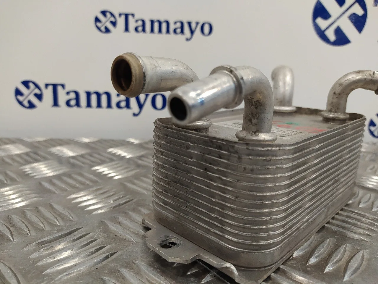 Enfriador Aceite Direccion para Volvo S40 Berlina