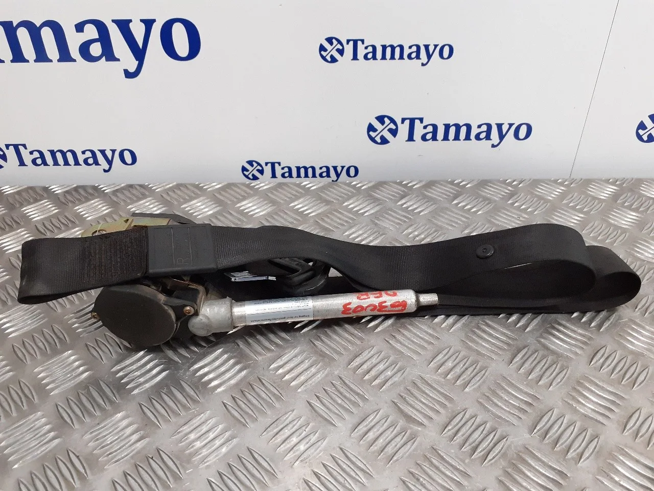 Cinturon Seguridad Delantero Derecho para Audi A3 (8L)