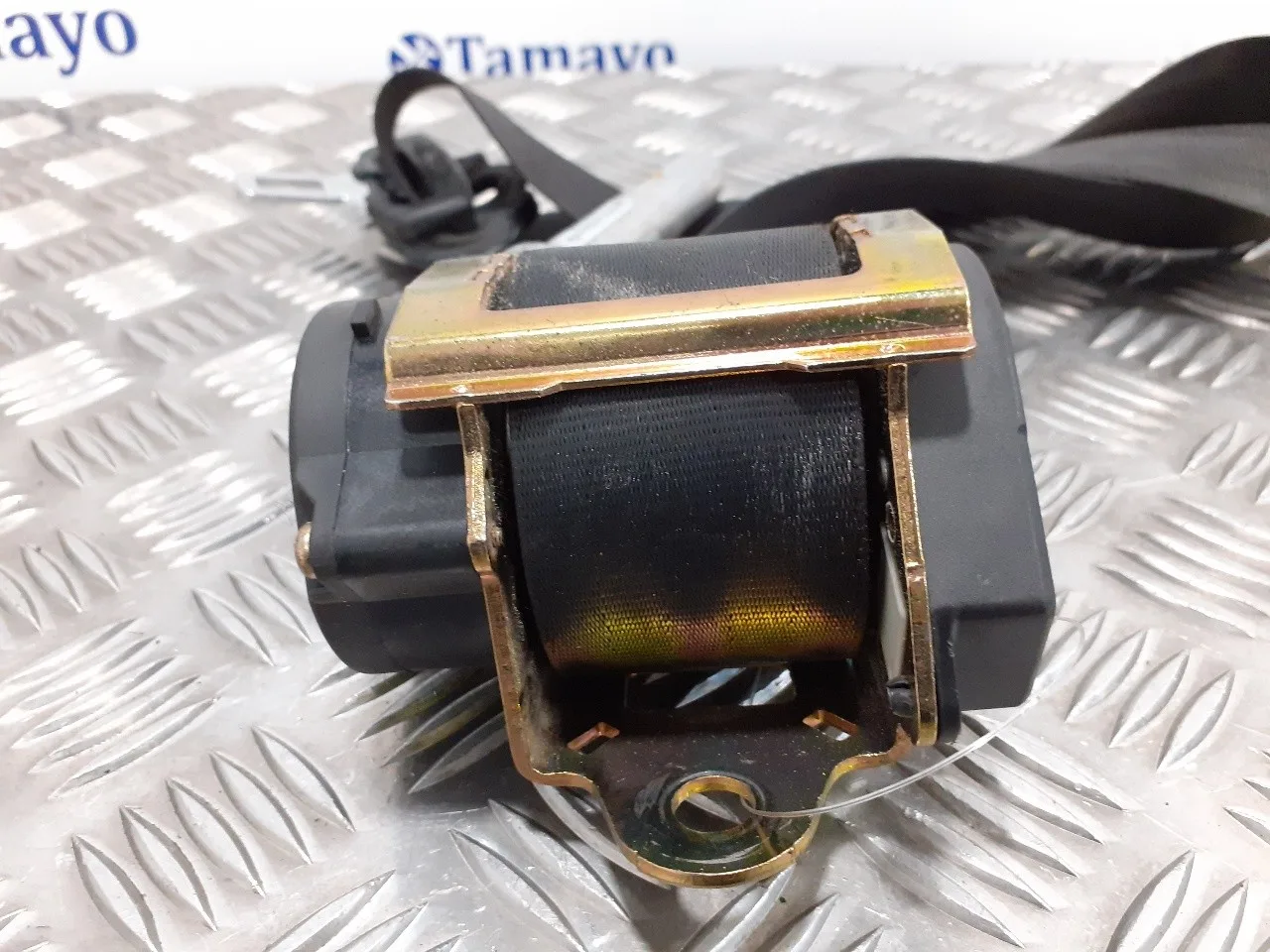 Cinturon Seguridad Delantero Derecho para Audi A3 (8L)
