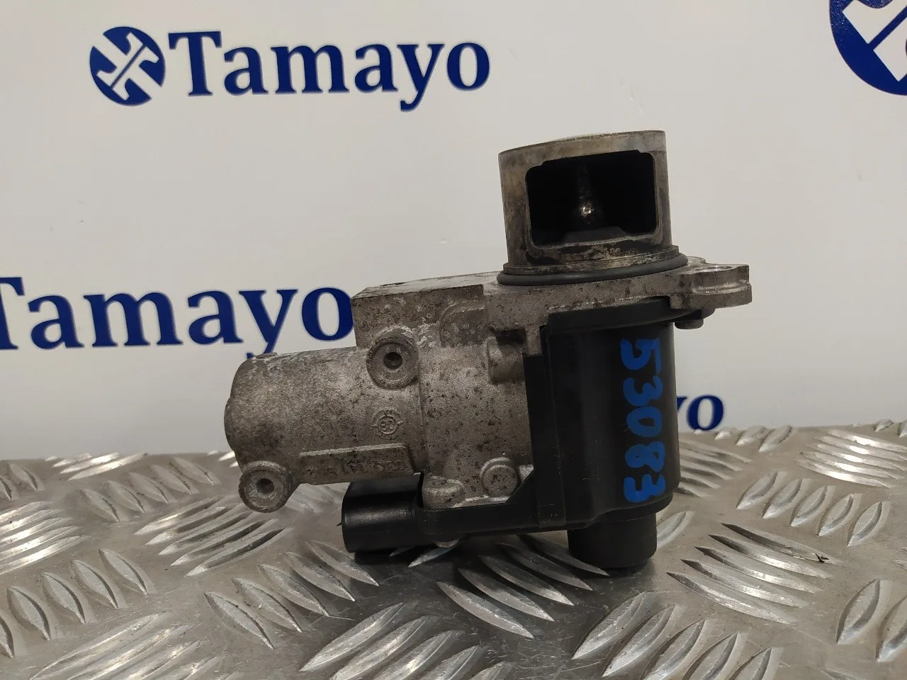 Valvula Egr para Seat Leon (1P1)