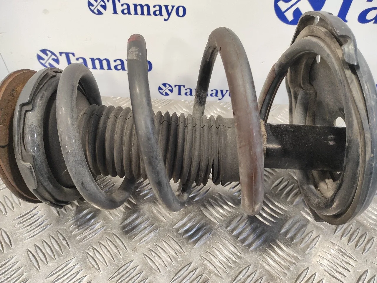 Amortiguador Delantero Izquierdo para Lexus Rx