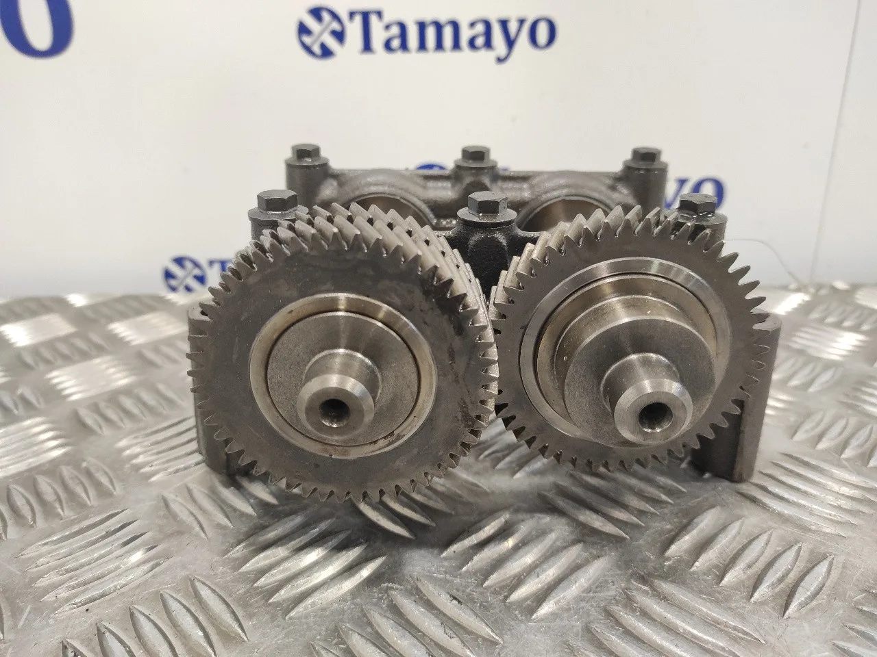 Contrapeso Ciguenal para Nissan Qashqai (J10)