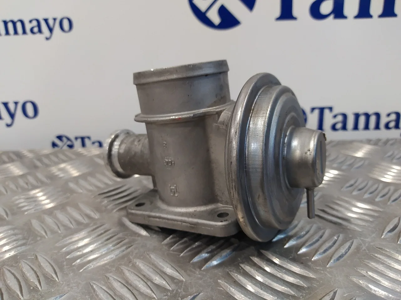 Valvula Egr para Bmw Serie 3 Berlina (E46)