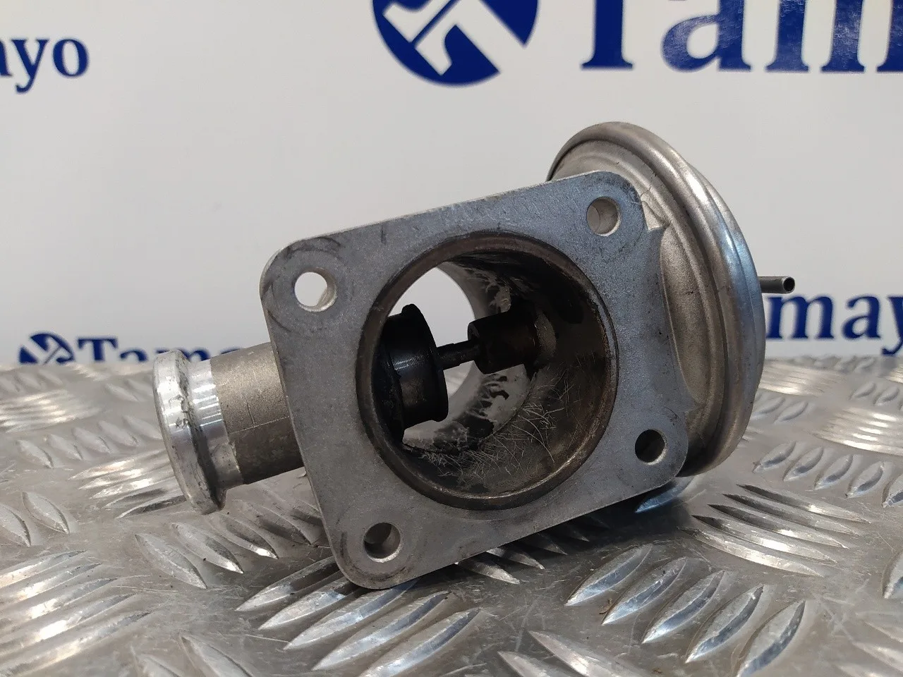 Valvula Egr para Bmw Serie 3 Berlina (E46)