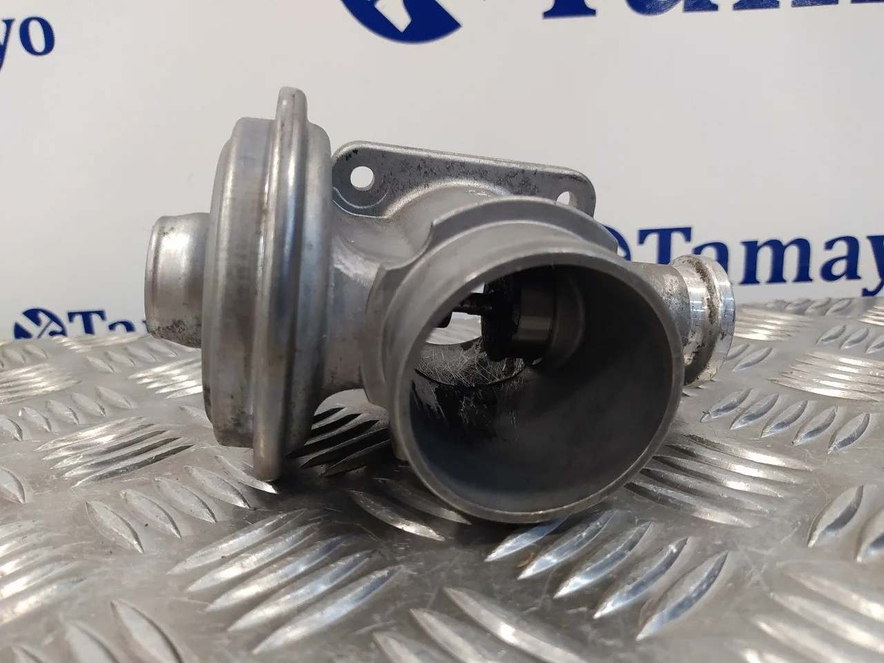 Valvula Egr para Bmw Serie 3 Berlina (E46)