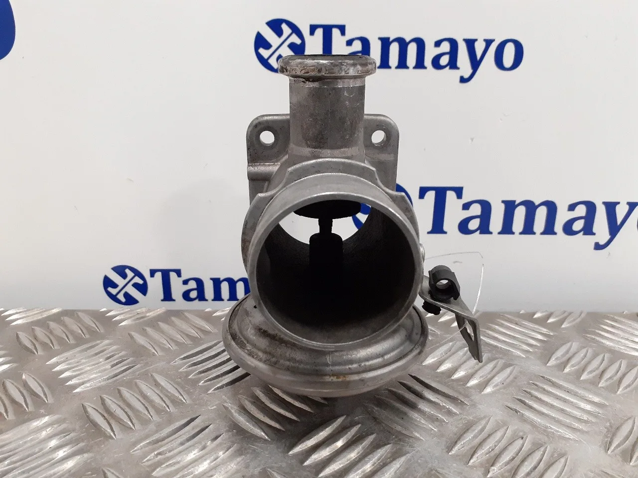 Valvula Egr para Bmw Serie 3 Compact (E46)
