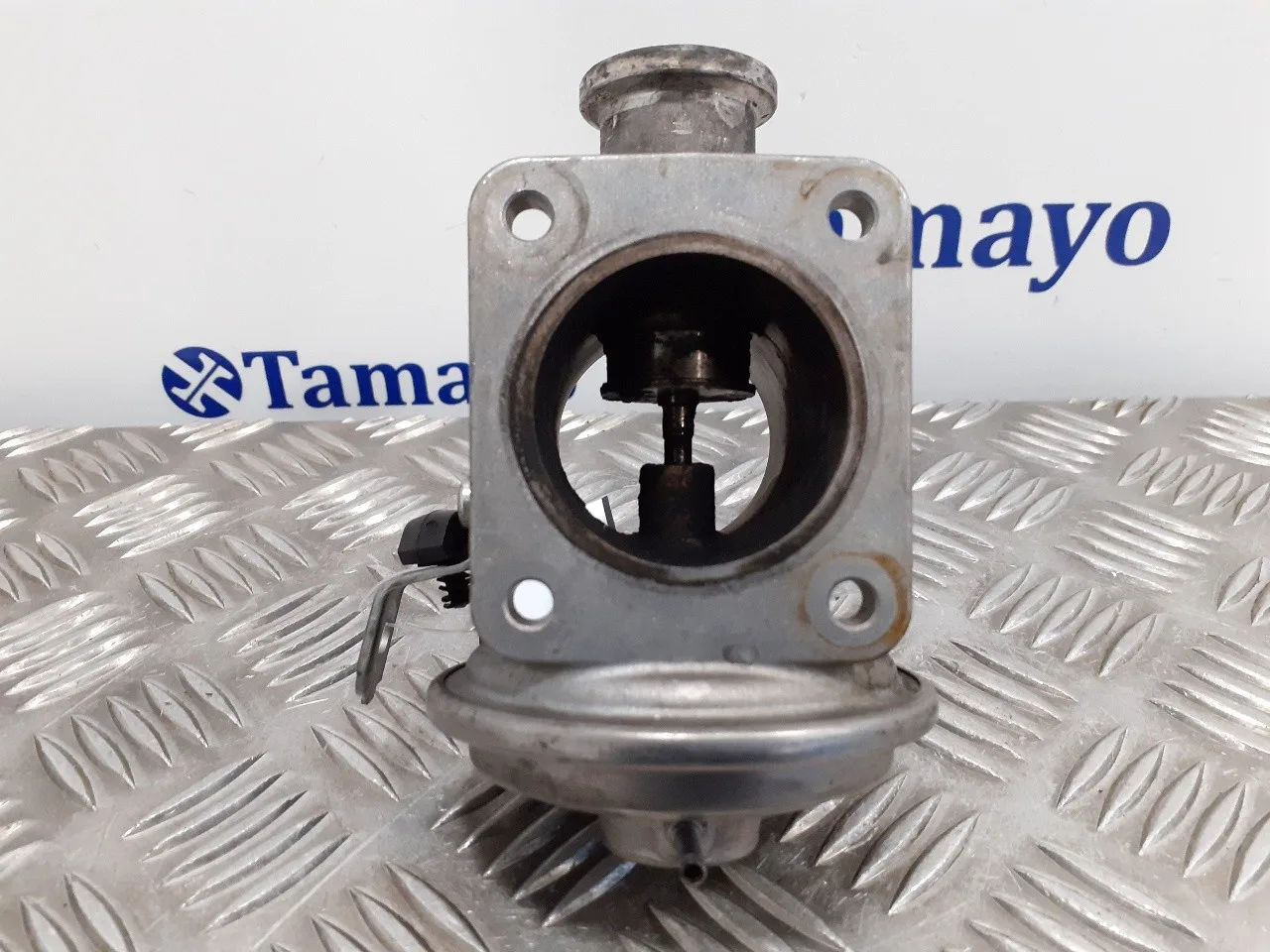 Valvula Egr para Bmw Serie 3 Compact (E46)