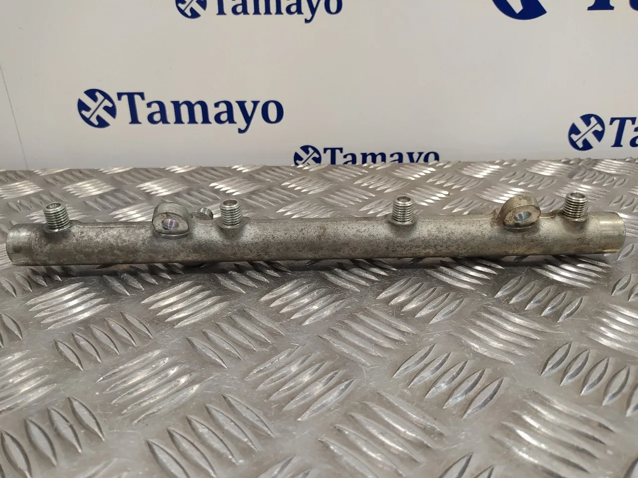 Rampa Inyectora para Mercedes-Benz Clase S (W220) Berlina