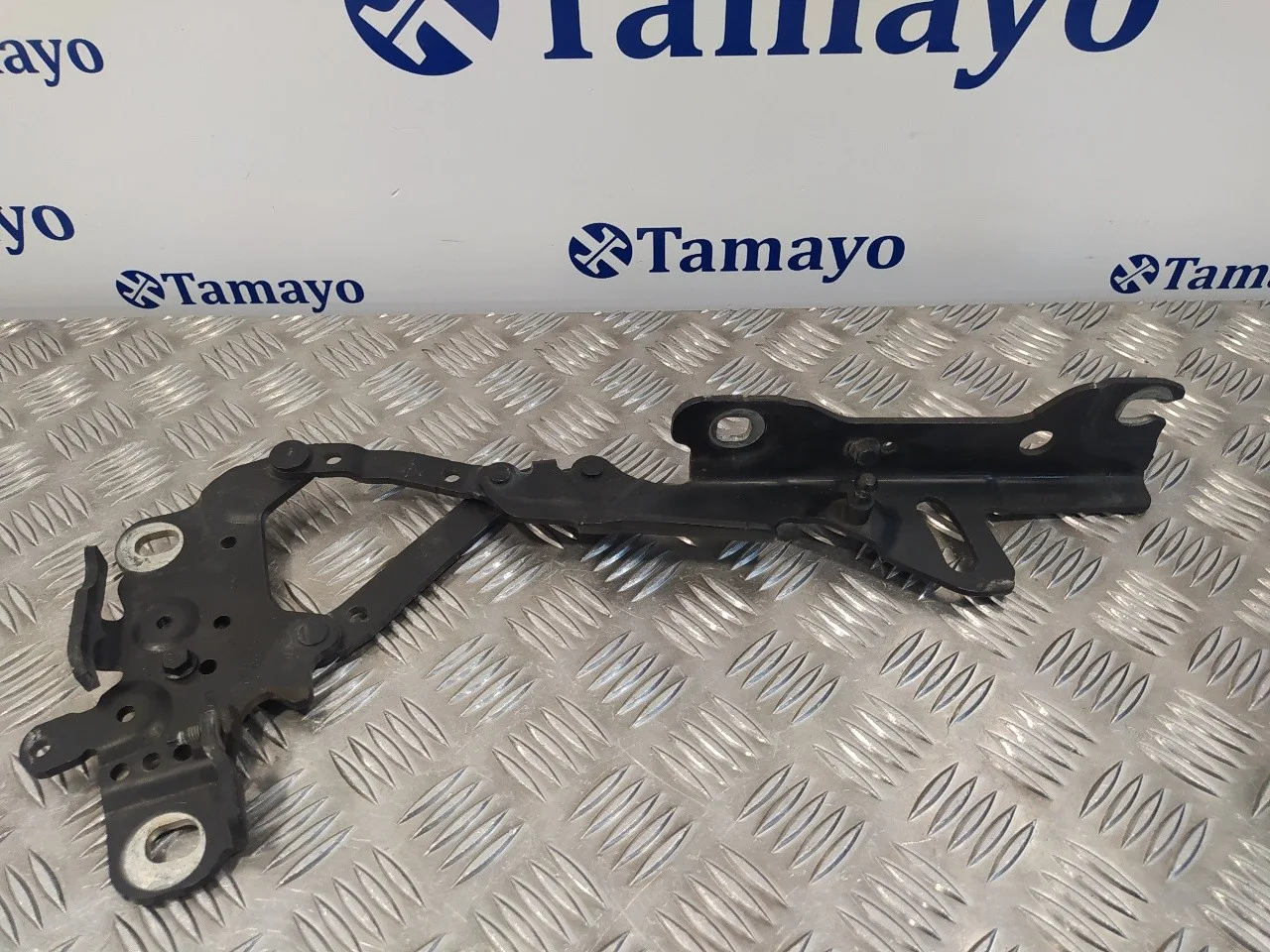 Visagra Capo para Bmw Serie 1 Lim. (F20/F21)