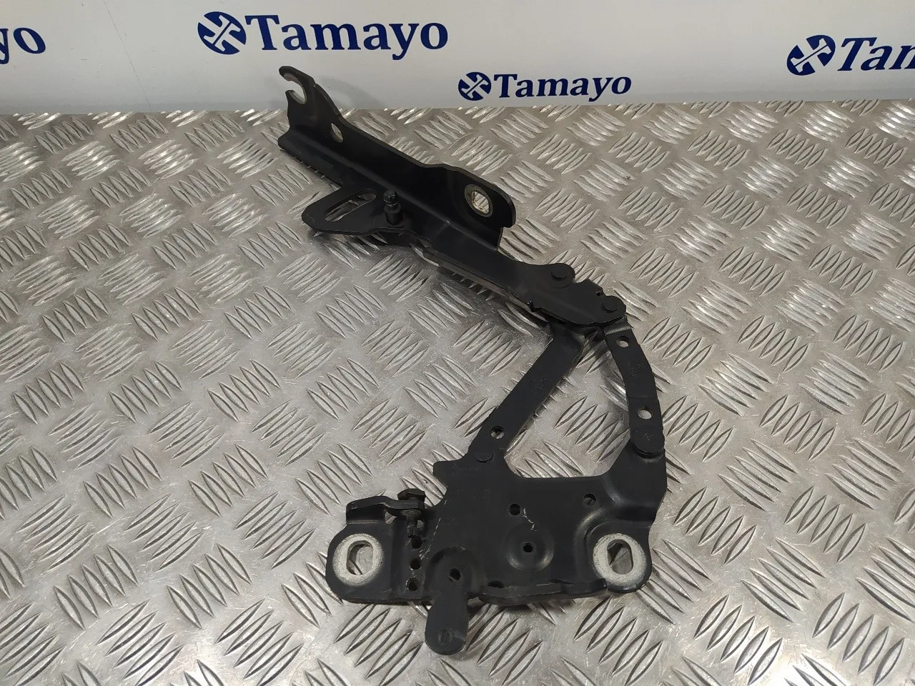 Visagra Capo para Bmw Serie 1 Lim. (F20/F21)
