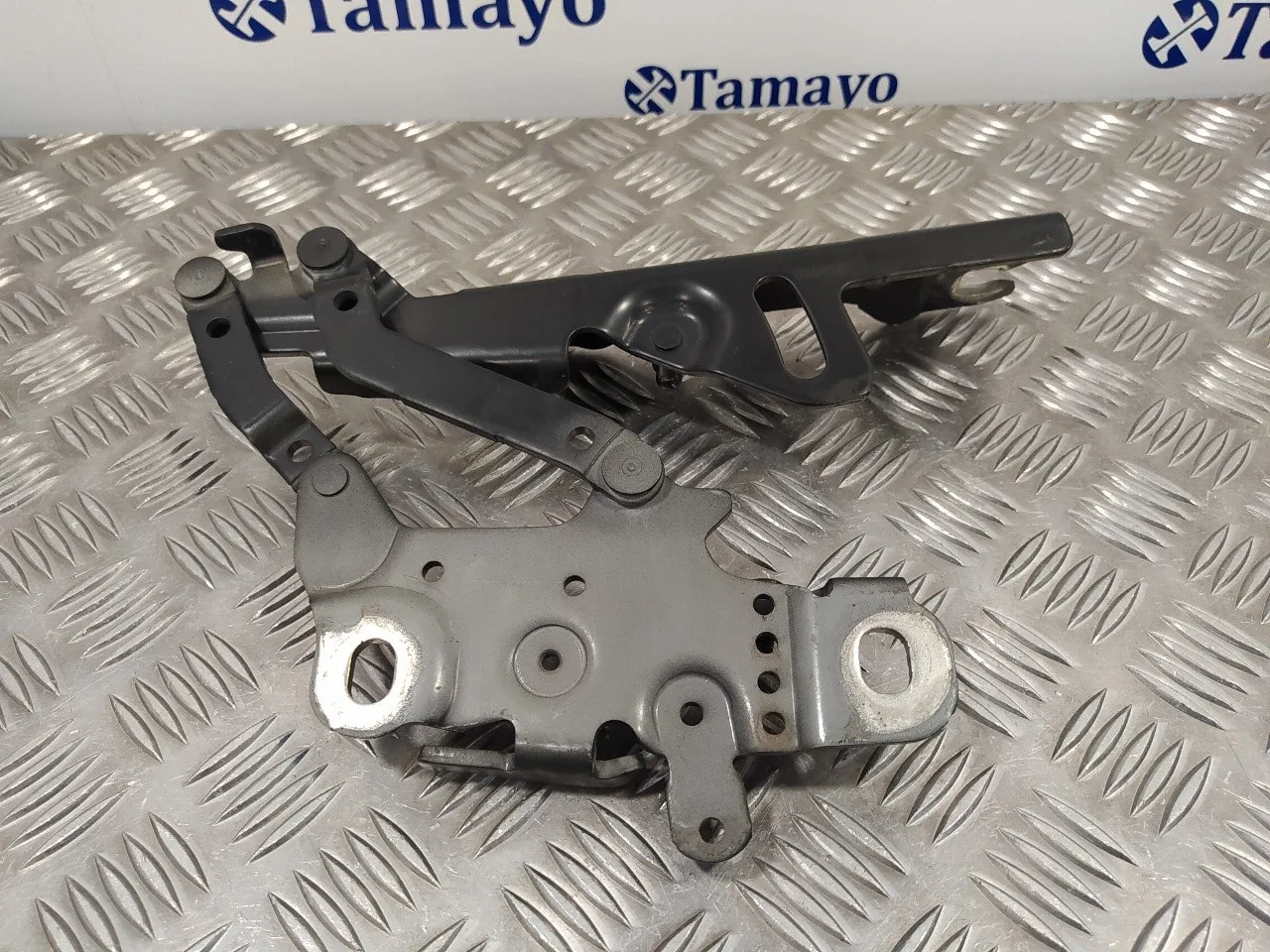 Visagra Capo para Bmw Serie 1 Lim. (F20/F21)