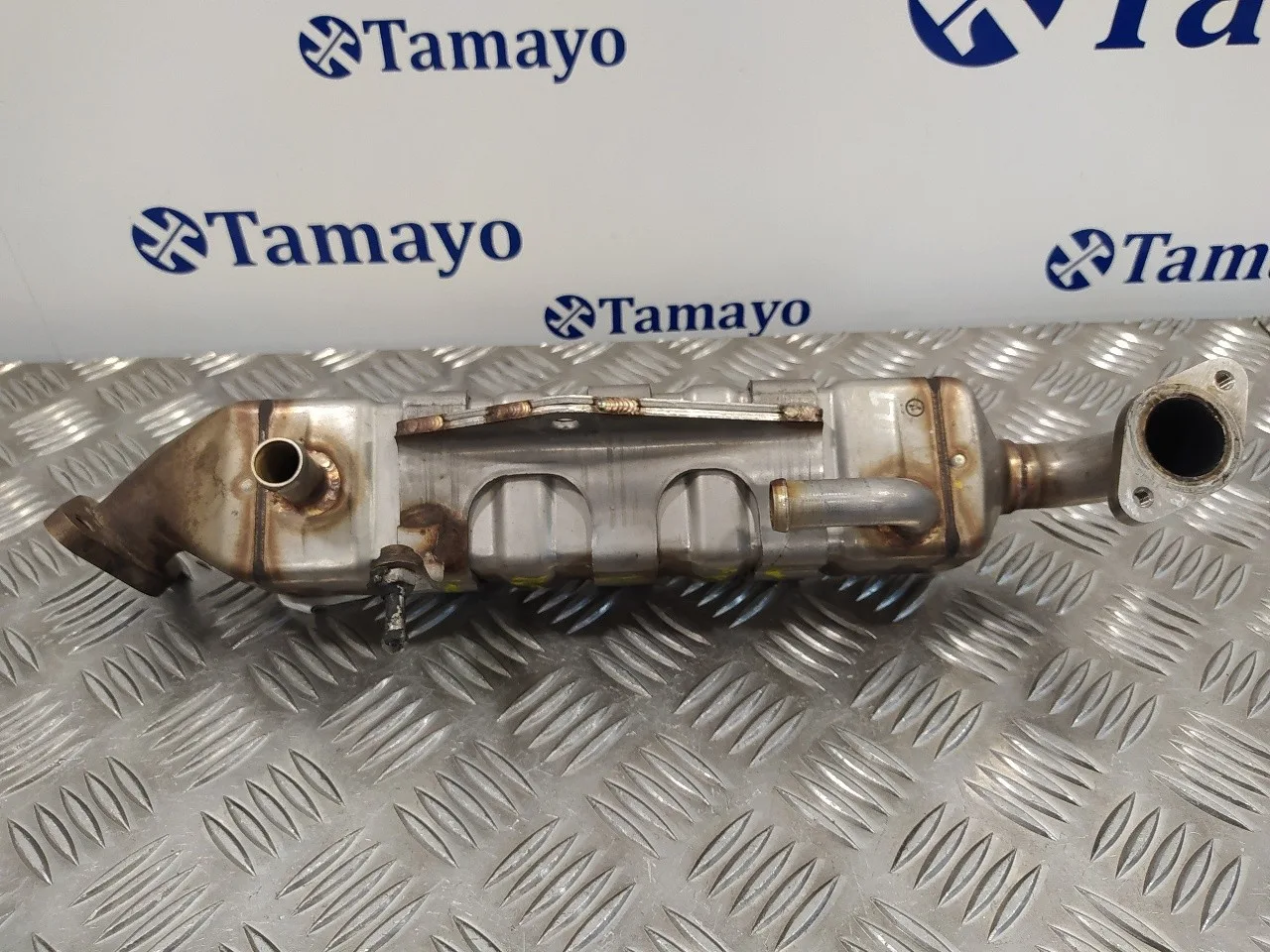 Enfriador Egr para Tata Xenon