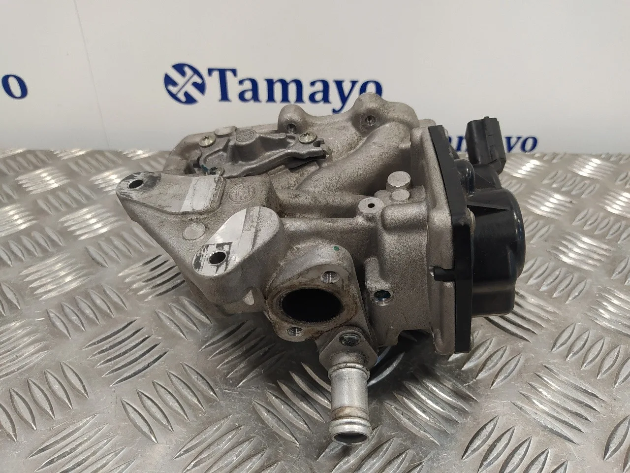 Valvula Egr para Audi A4 Avant (8K5) (2008)