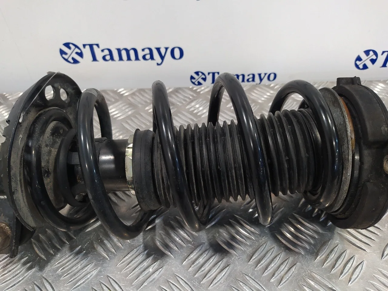Amortiguador Delantero Izquierdo para Seat Leon (1P1)