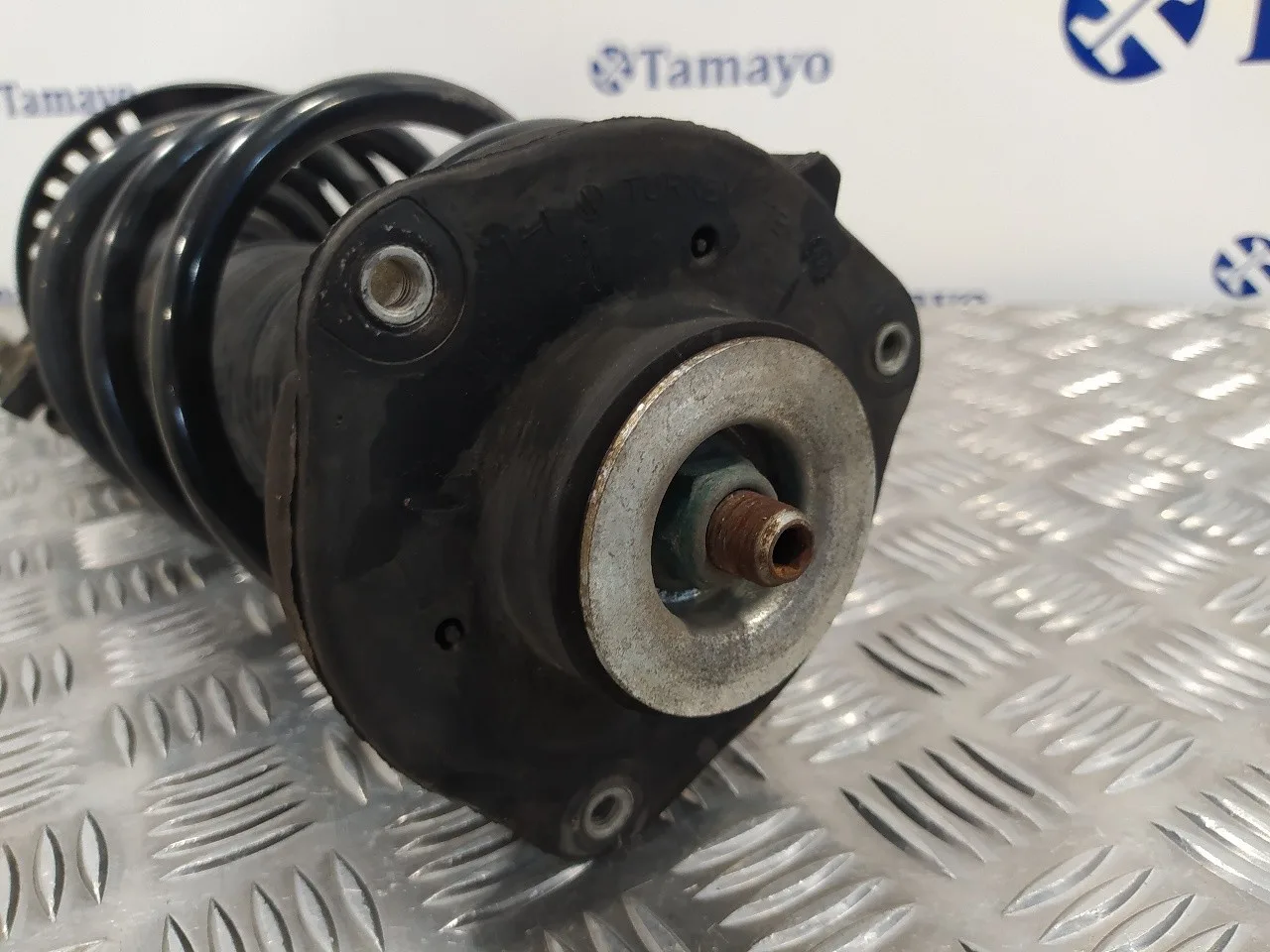 Amortiguador Delantero Izquierdo para Seat Leon (1P1)