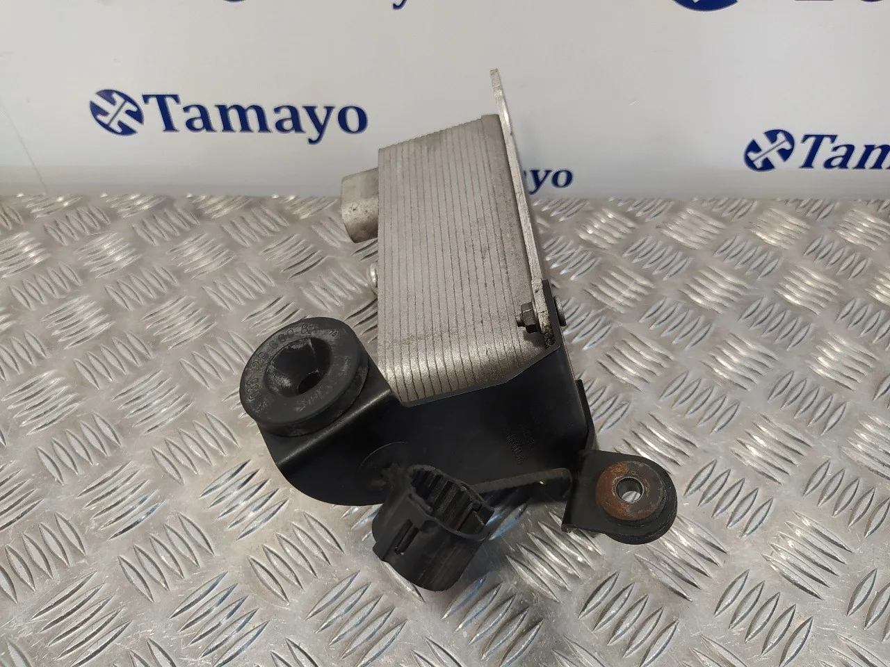 Enfriador Aceite Motor para Volkswagen Passat Variant (3C5)