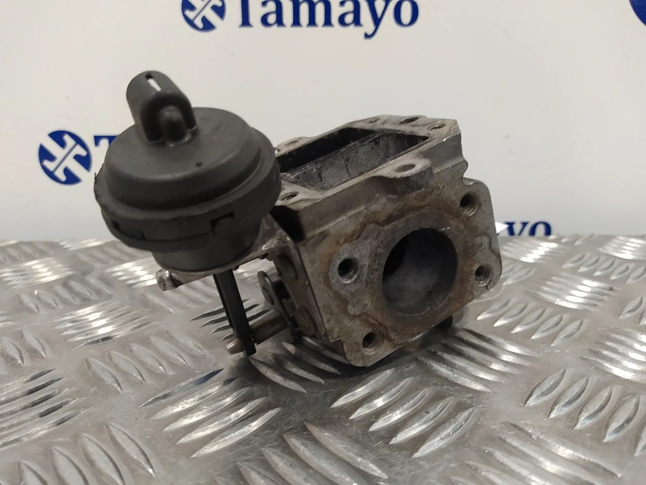 Valvula Egr para Volkswagen Golf V Berlina (1K1)