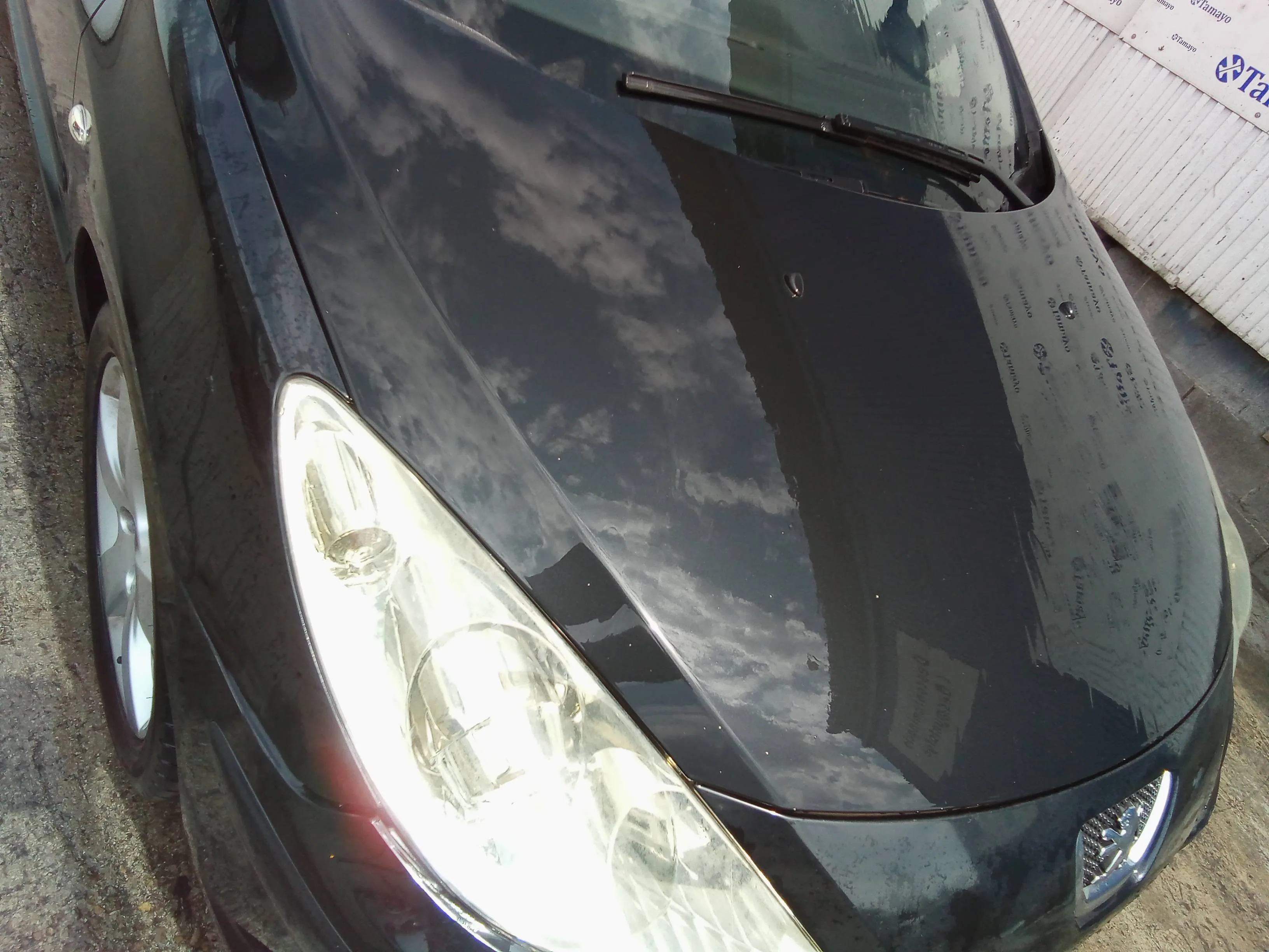 Capot para Peugeot 307 Cc (S2)
